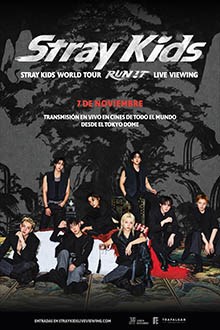 STRAY KIDS WORLD TOUR RUN IT